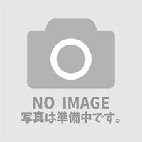 画像_no image