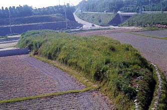 昭和50年の写真です。