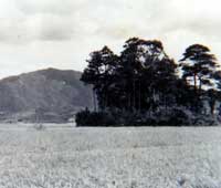 昭和15年に撮影した御笠の森写真