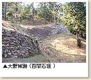 大野城跡（百間石垣）写真