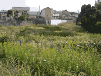 現在のイガイ牟田池の様子写真