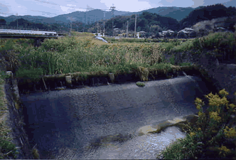 井堰の様子写真