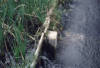 石柱に水をせき止める板を渡した写真