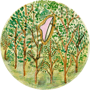 笠が飛んだ話イラスト