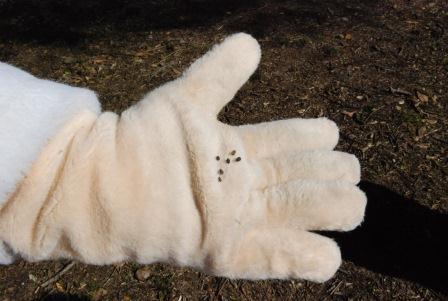 焼米を手のひらに乗せた大野ジョー