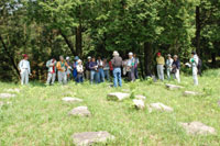 主城原礎石群の写真