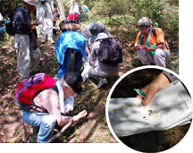 焼米探しに没頭する参加者と炭化した米の写真