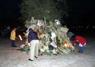 ホンゲンギョウの写真