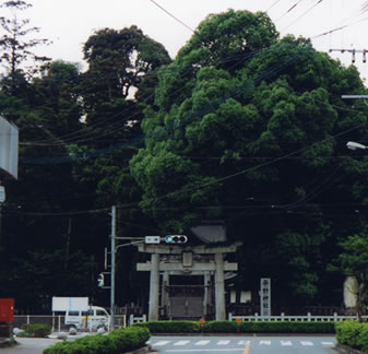 平野神社