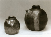 うんすけかめの写真