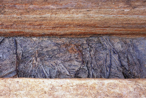 敷粗朶の様子(九州歴史資料館提供)