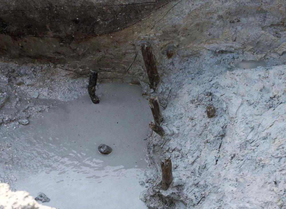 上大利小水城の土塁下部から出土した木杭の写真