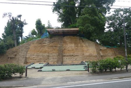 現在の水城跡断面の様子