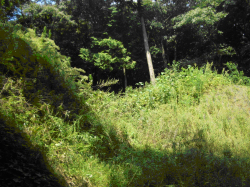 観世音口城門の様子