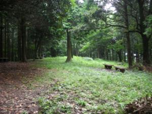 御殿場地区の写真