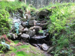 屯水（とんすい）