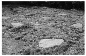 現在のようすの写真