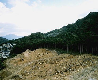 善一田古墳公園の画像