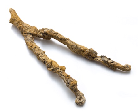 鍛冶具(鉄鉗(かなはし))の画像