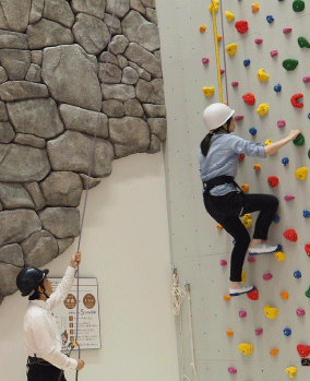 トップロープ_写真