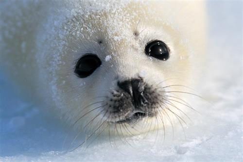 R8春季特別展_01