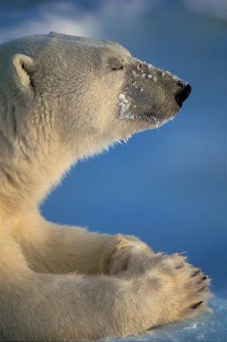 R8春季特別展_03