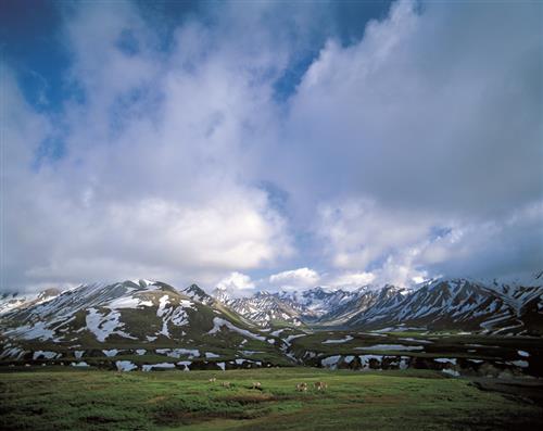 R8春季特別展_05