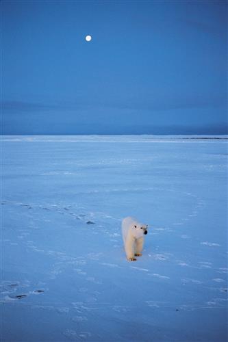 R8春季特別展_06