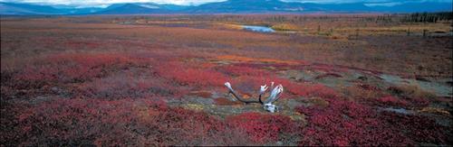 R8春季特別展_07