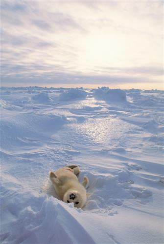 R8春季特別展_09