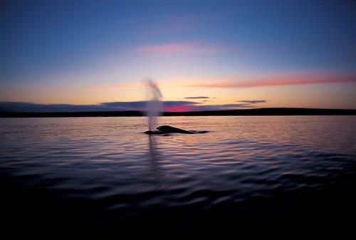 R8春季特別展_11