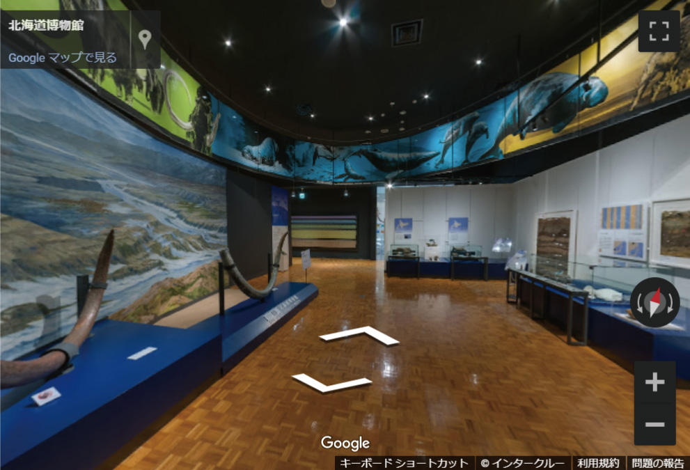 北海道博物館(バーチャル)