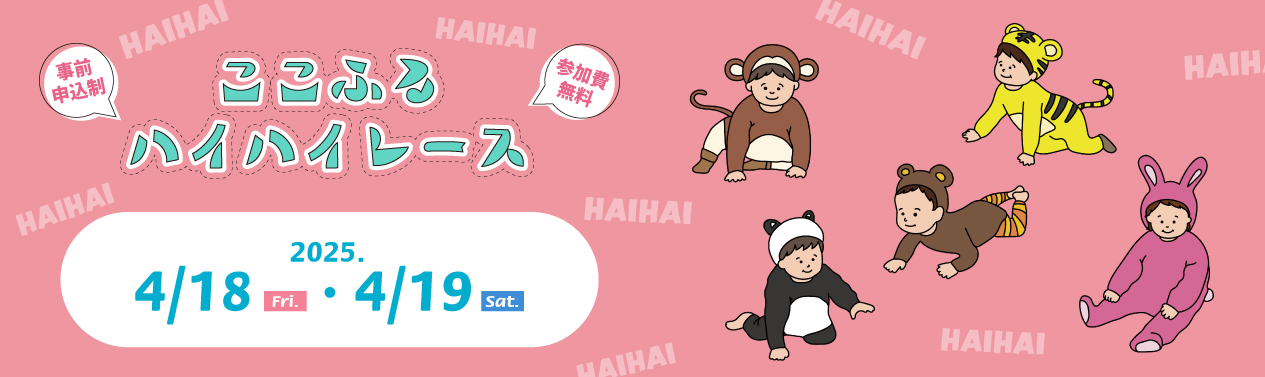 202504ハイハイレースバナー