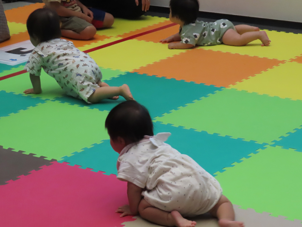 ハイハイレース01（令和6年度）