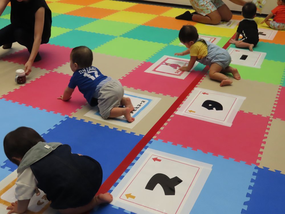 ハイハイレース03（令和6年度）