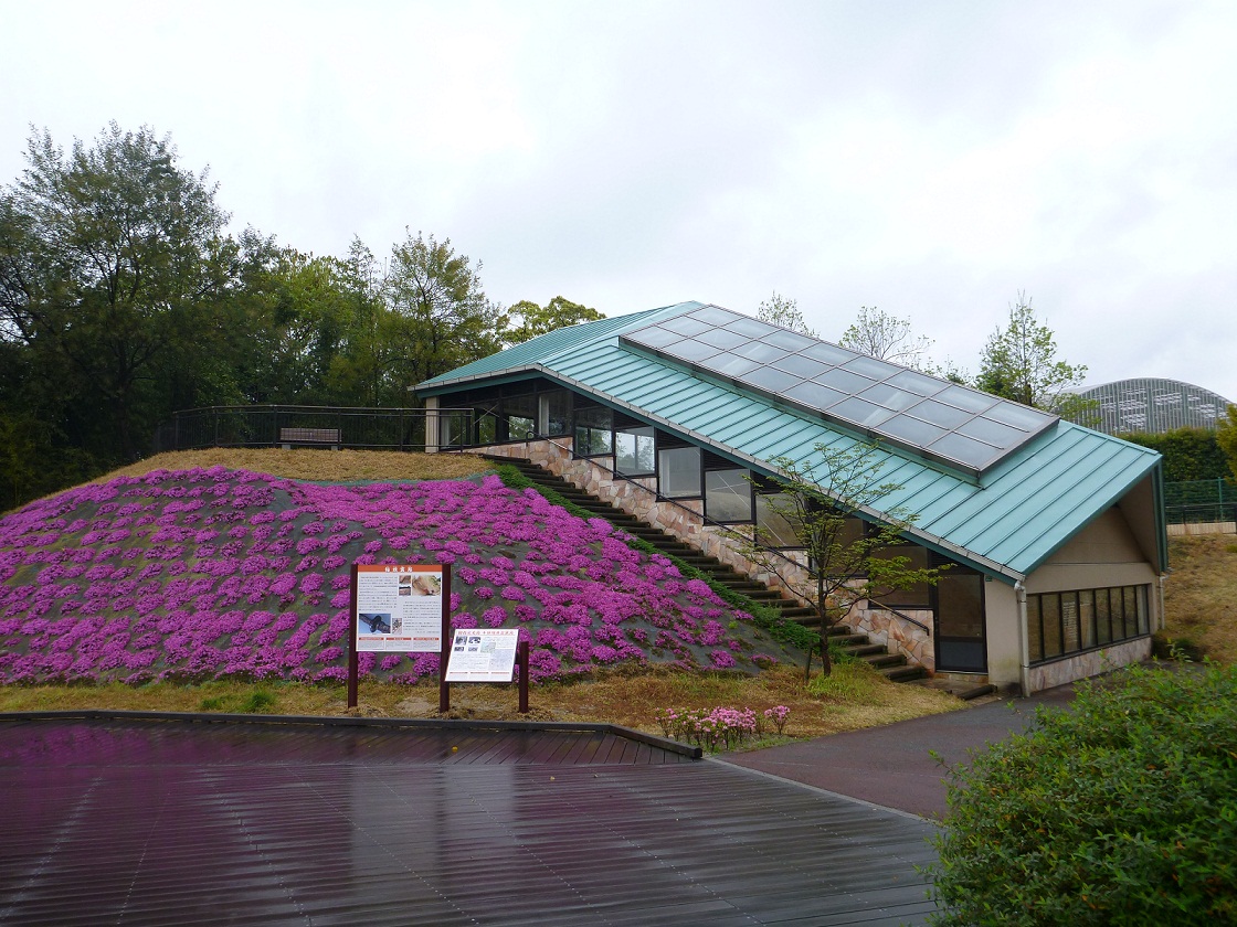 牛頸須恵器窯跡写真