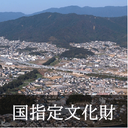 国指定文化財バナー