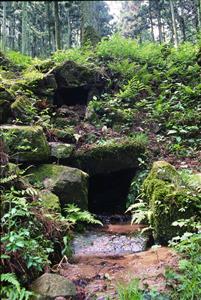 屯水1