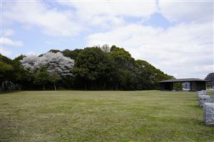 水城ゆめ広場（春）2