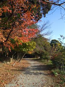 水城跡散策路（秋）1