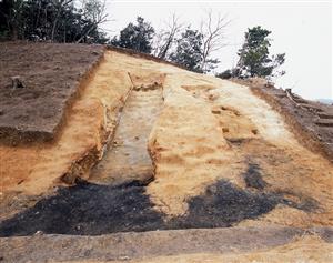 小田浦窯跡1