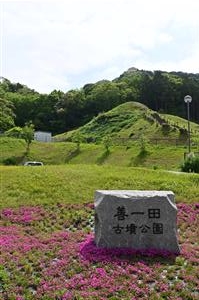 善一田古墳公園（春）1