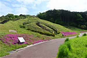 善一田古墳公園（春）2