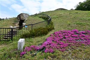 善一田古墳公園（春）3
