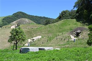 善一田古墳公園（夏）1