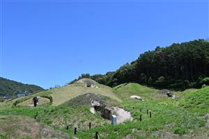 善一田古墳公園（夏）2