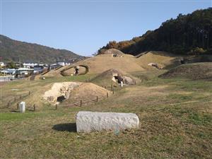 善一田古墳公園（秋）1