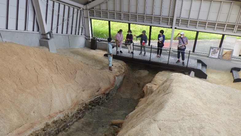 梅頭窯跡公開