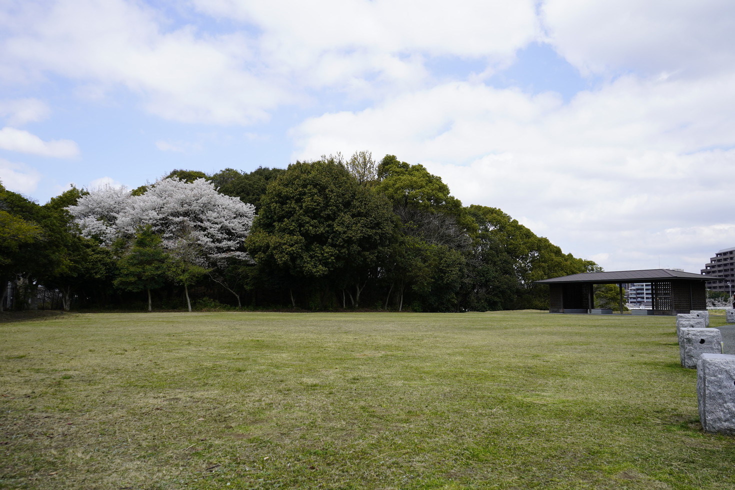 春の水城ゆめ広場