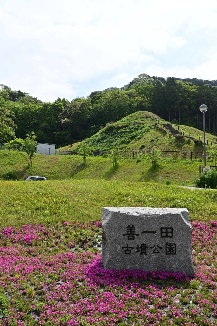 春の善一田古墳公園